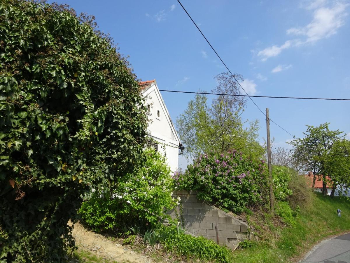 Villa Kellerstoeckl Eisenberg/Pinka Weiner Eisenberg an der Pinka Esterno foto